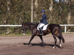 IMG_7814_web